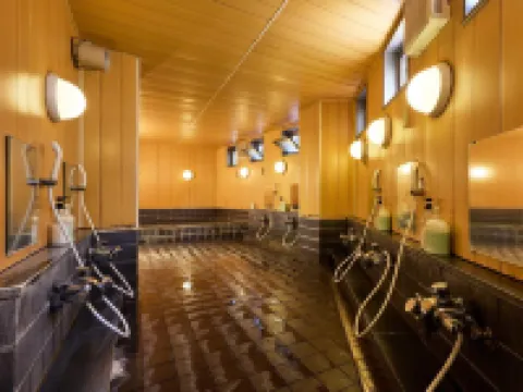 ビジネス旅館わかみず 茅野のホテル