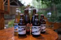 Bohol Coco Farm Hostel