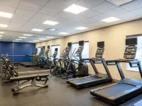Holiday Inn Express & Suites Meridian - Boise West Hotels in Meridian