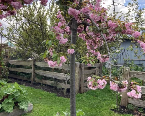 Elm Cottage Barn Ξενοδοχεία στην πόλη Oatlands