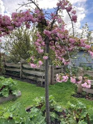 Elm Cottage Barn Hotels in Oatlands