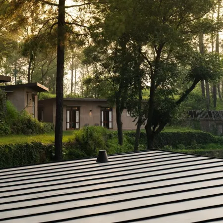 Amaya Kasauli