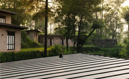 Amaya Kasauli