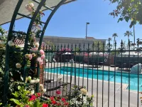 Laguna Hills Lodge-Irvine Spectrum - Pools