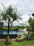 Sawah Tamanan Villa & Resort - piscina