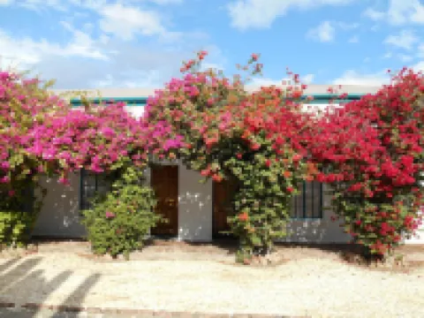 Obesa Lodge Hotels in Western District