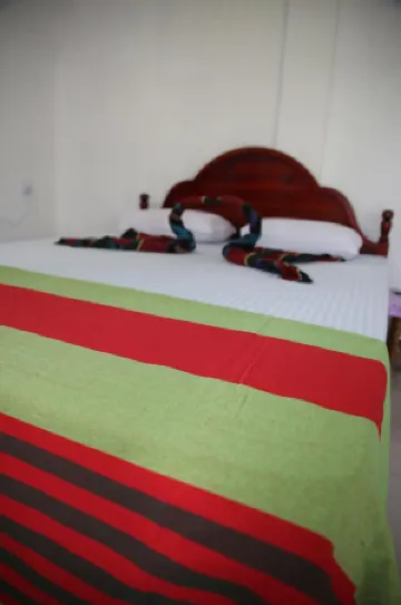 The Tea View Guest Ella