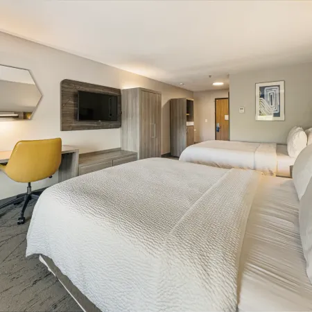 Holiday Inn Express & Suites BUFORD NE - LAKE LANIER by IHG