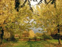 Agriturismo Monte Due Torri Hotels in Genzano di Roma