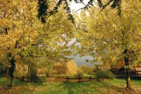 Agriturismo Monte Due Torri - Farmhouses