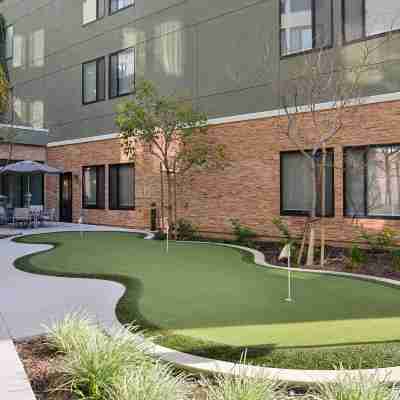 SpringHill Suites Irvine John Wayne Airport / Orange County Hotel Exterior