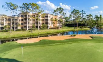 Marriott's Royal Palms