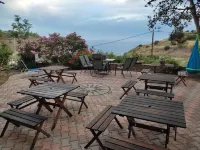 Zorbas Apartments - Alloggi