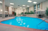 Wyndham Visalia - مسبح