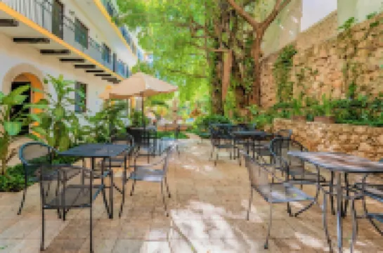 Maison del Embajador