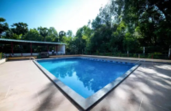 Paradise Auro Jungle Resort Hotels in 