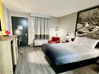 Super 8 by Wyndham Manchester TN Hotels in Coffee County