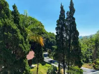 Grand Whiz Hotel Bromo - Mountain view
