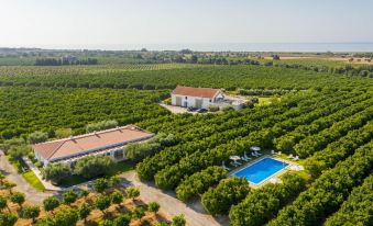 Quinta Dos Perfumes