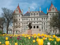 Renaissance Albany Hotel Hotels in Albany