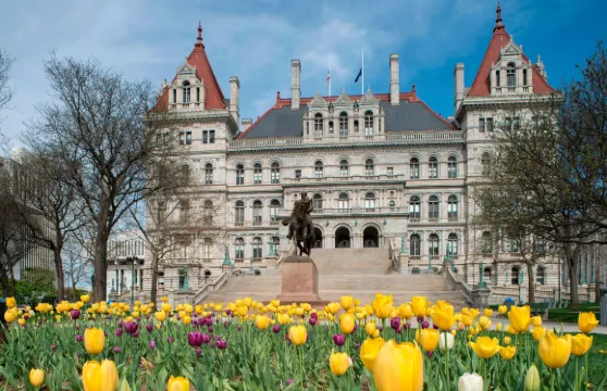 奧爾巴尼萬麗酒店