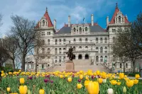 โรงแรมเรเนซองส์ อัลบานี