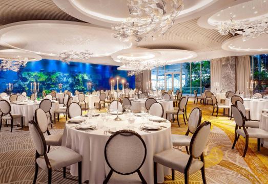 패러그래프 리조트 & 스파