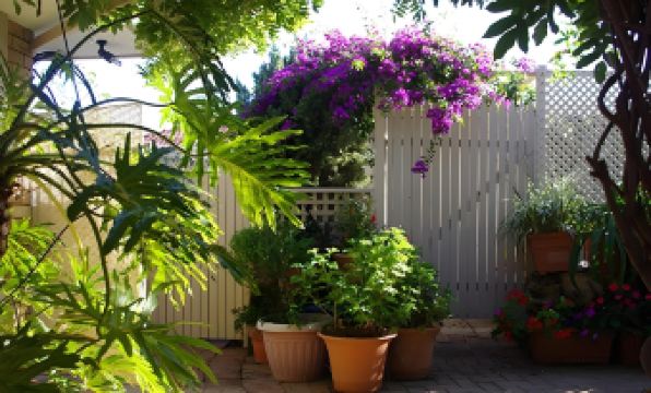 Astoria Retreat Bed & Breakfast - Housity