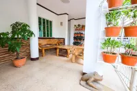 마욘 백패커스 호스텔