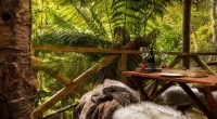 Cradle Forest Inn - Inns