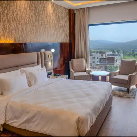 Regenta Place The Golden Castle Baddi
