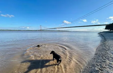 Robeanne House Holiday Accommodation Отели в г. Ситон Росс