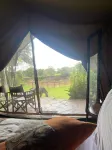 Exploreans Mara River Camp - 5-Star