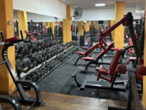 Hotel Neu 354 Hotels in Neuquen