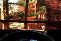 Gableview Forest Inn ゲーブルビュー - เกสต์เฮาส์