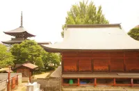 Icho Takayama - pet friendly