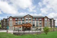 斯廷博特斯普林斯Homewood Suites by Hilton Steamboat Art Strokes附近的飯店