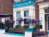 Sunflower Lodge - Wifi