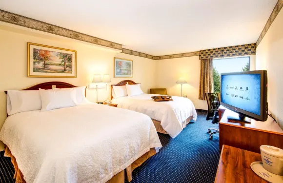 希爾頓歡朋酒店-加夫尼