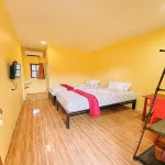 R6 Timika Hotel Hotels in Kwamki