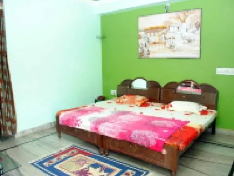 Hill View Hotels in Pushkar