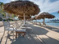 Club Regina Puerto Vallarta managed by Accor - Bãi biển