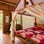 Back to Nature Ecotourism - Pensions