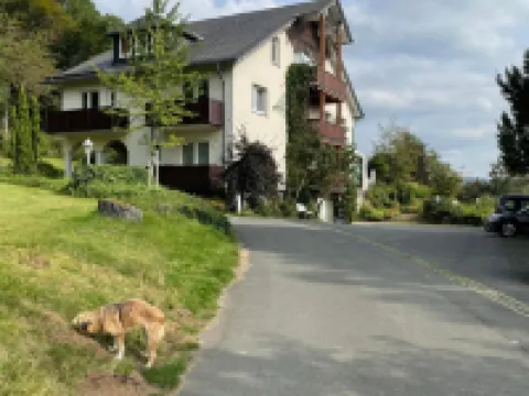 Das Loft Hotel Hölsterloh Hotels in Brilon