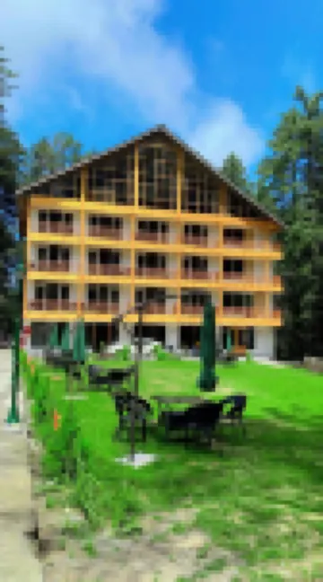 Hotel Pine Heritage