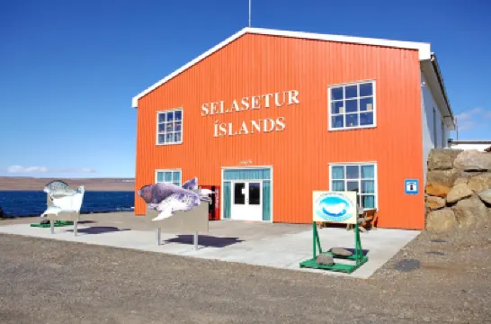 Albert Guesthouse Hotels in 