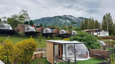 รูปภาพของChill & View ชิววิว เขาค้อ