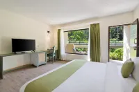 Stone Wood Premier Dandeli - piscina