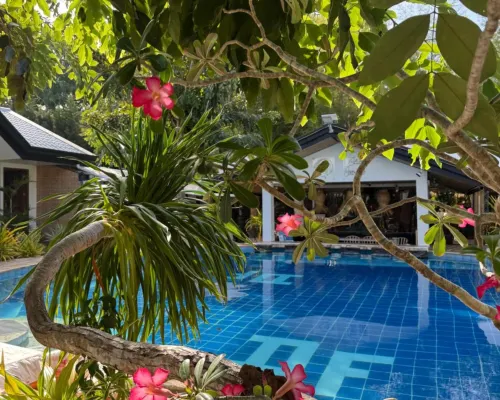 Deep Forest Garden Hotel Các khách sạn gần Bãi biển Pristine