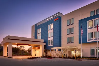 SpringHill Suites Houston I-45 North Hotels near Bordersville Park